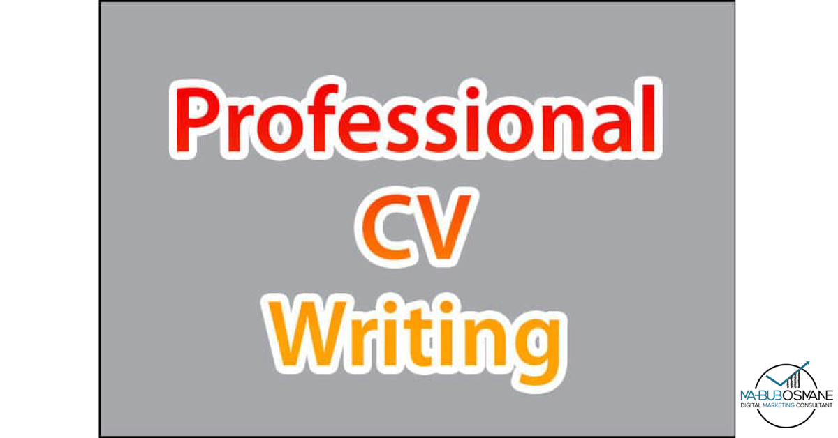Professional-CV-Writing-Service