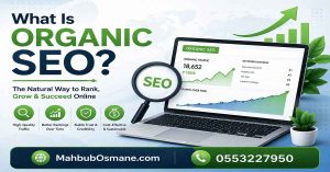 What Is Organic SEO