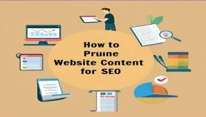 How to Prune Website Content for SEO